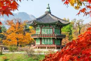 Tour Hàn Quốc mùa thu: Seoul - Nami - Everland