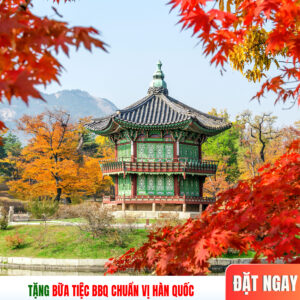 Tour Hàn Quốc mùa thu: Seoul - Nami - Everland