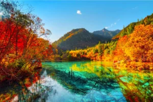 unnamed__2025_07_18T174058_399.png_large