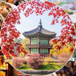 HÀN QUỐC - NƠI TÌNH YÊU BẮT ĐẦU