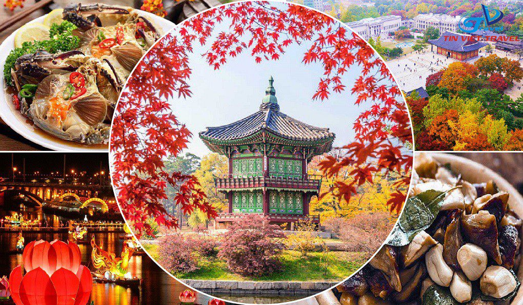 HÀN QUỐC - NƠI TÌNH YÊU BẮT ĐẦU