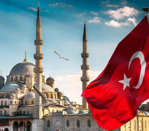 HÌNH TOUR TRÊN WED